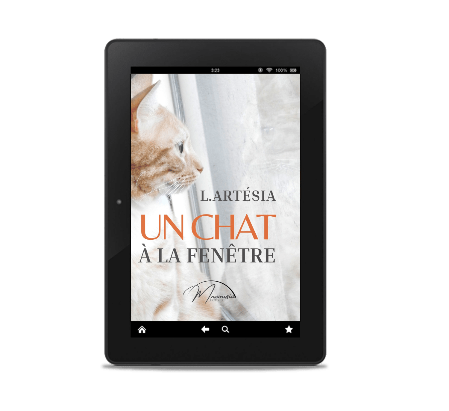 Un chat à la fenêtre, Loli Artésia – Image 2